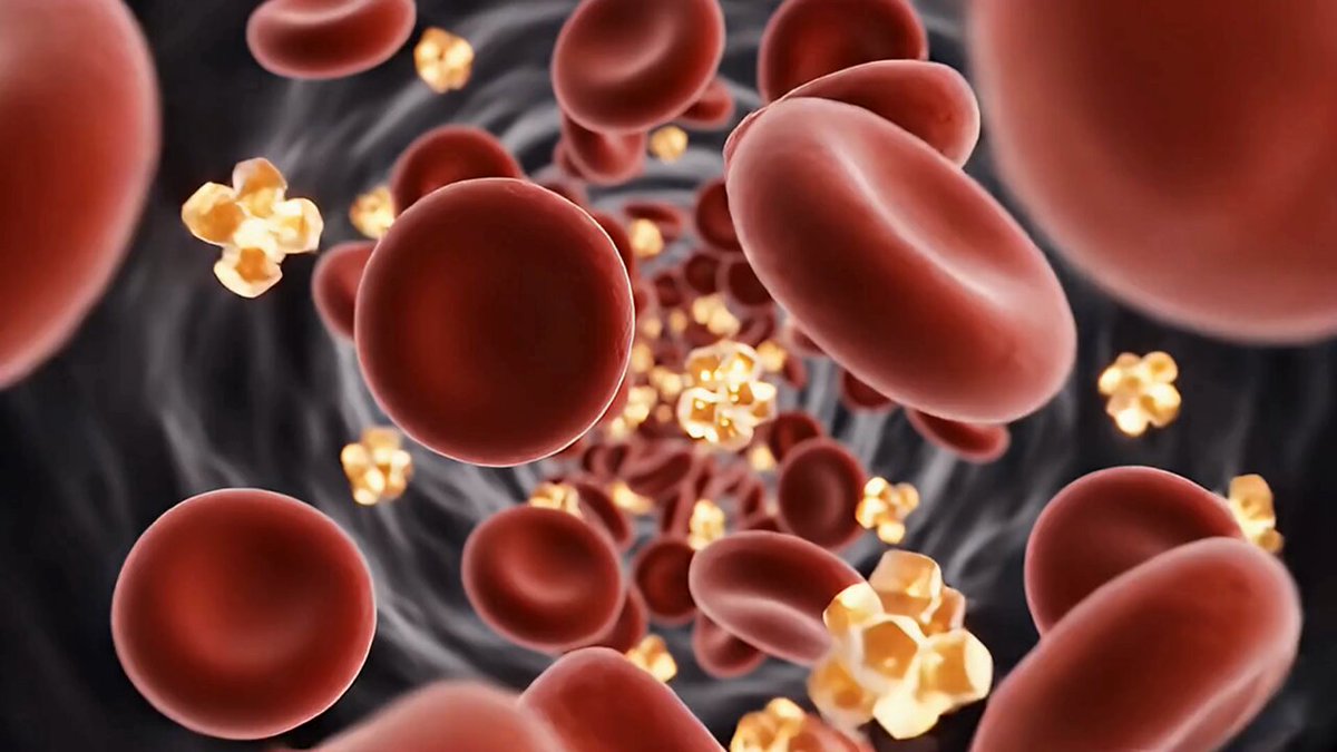 AI Animated Photo: The Importance of Fueling Your Body Like a High-Performance Engine